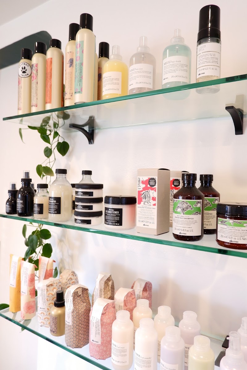 Foxtrot Salon