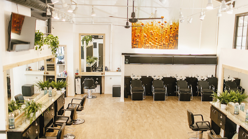 Daniel Jordan Hair Salon SOUTH