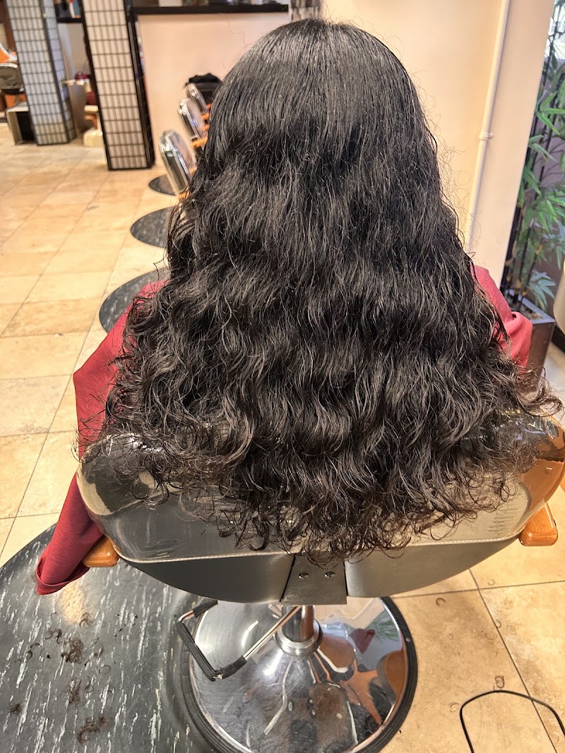 Hair By David DTLA