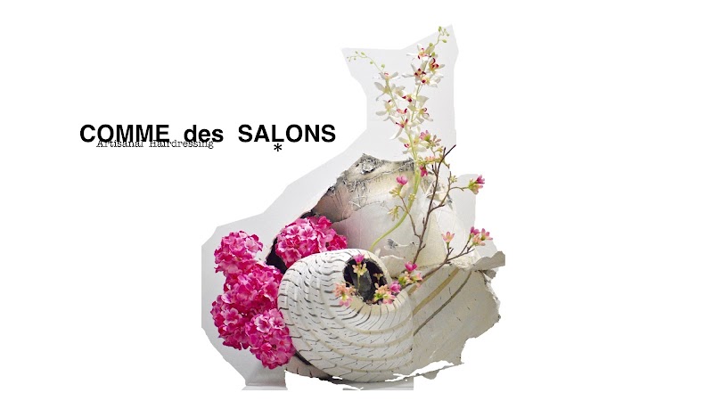 Comme des Salons