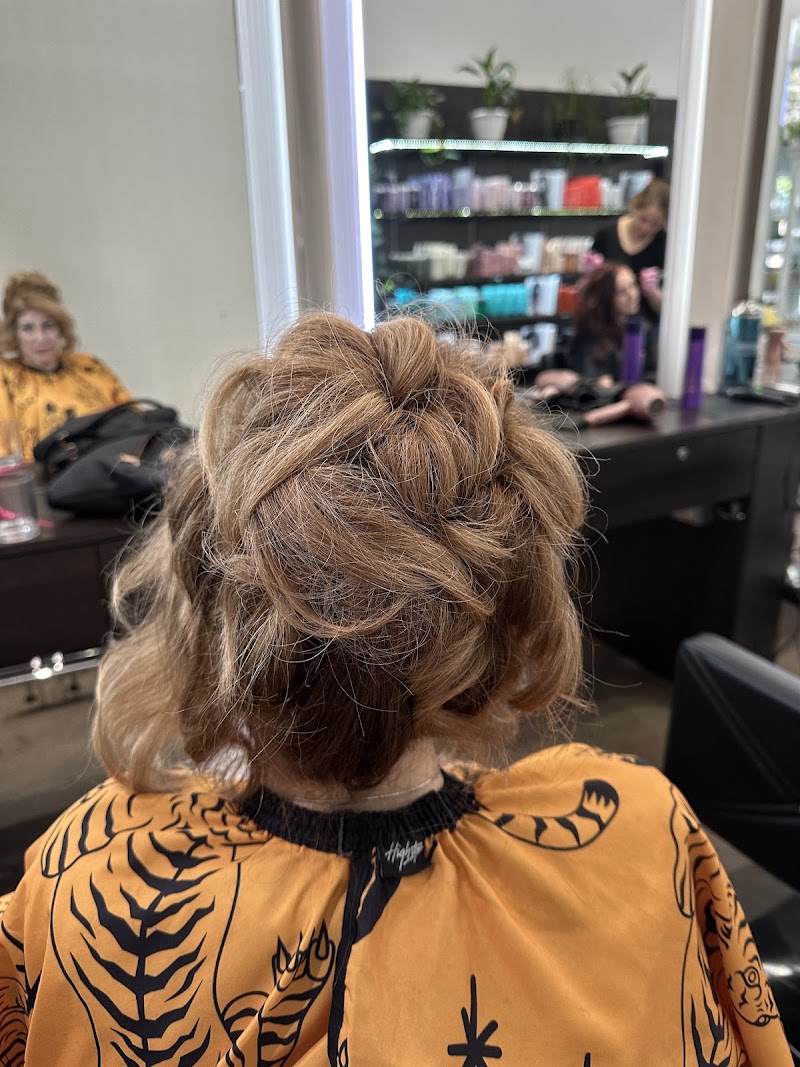 Chignon Hair Salon