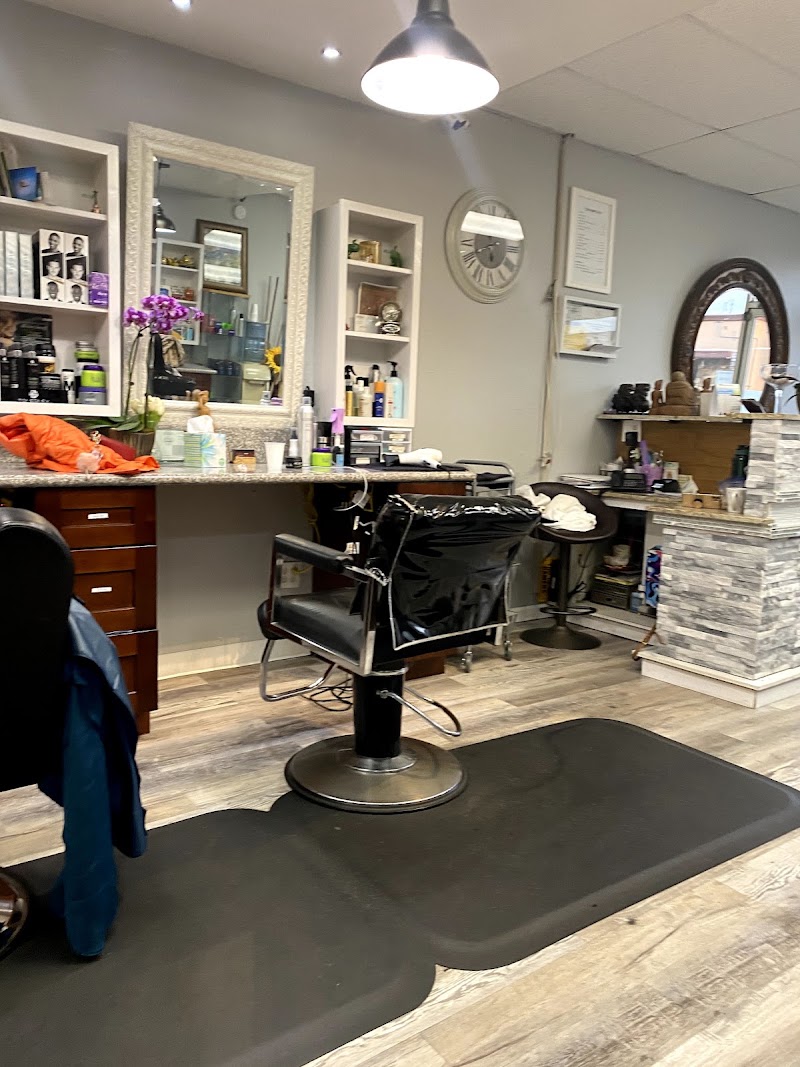 Shear & Shine Hair Studio -Hair salons