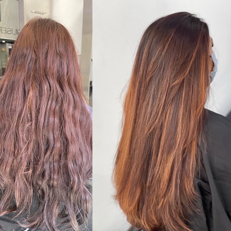 Balayage And Extensions by Linet K.