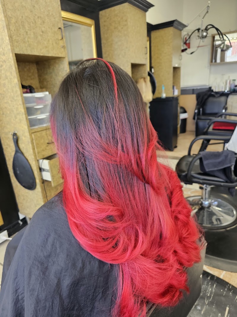 celebrity hair studio