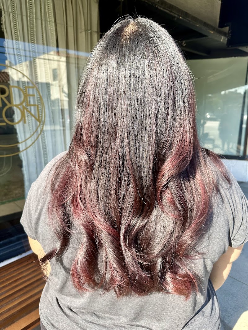 Vanessa Lee Beauty Hair Salon