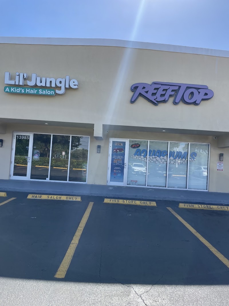 Lil' Jungle
