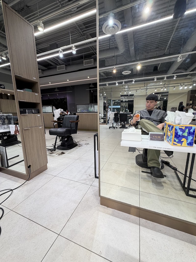 Etude W Salon