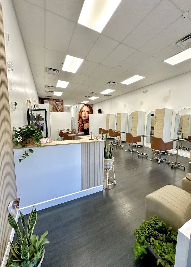 Diana Burgos Hair Studio