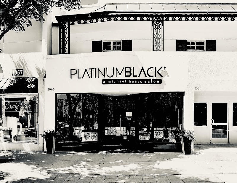 Platinumblack a Michael Haase Salon