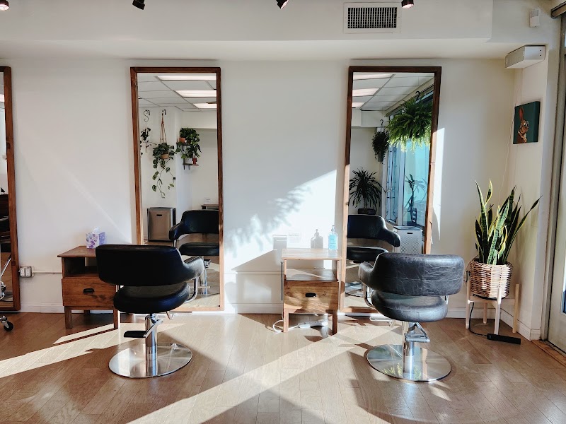 PINOK STUDIO by Matsumoto