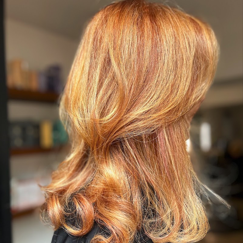 Jane Alea Salon