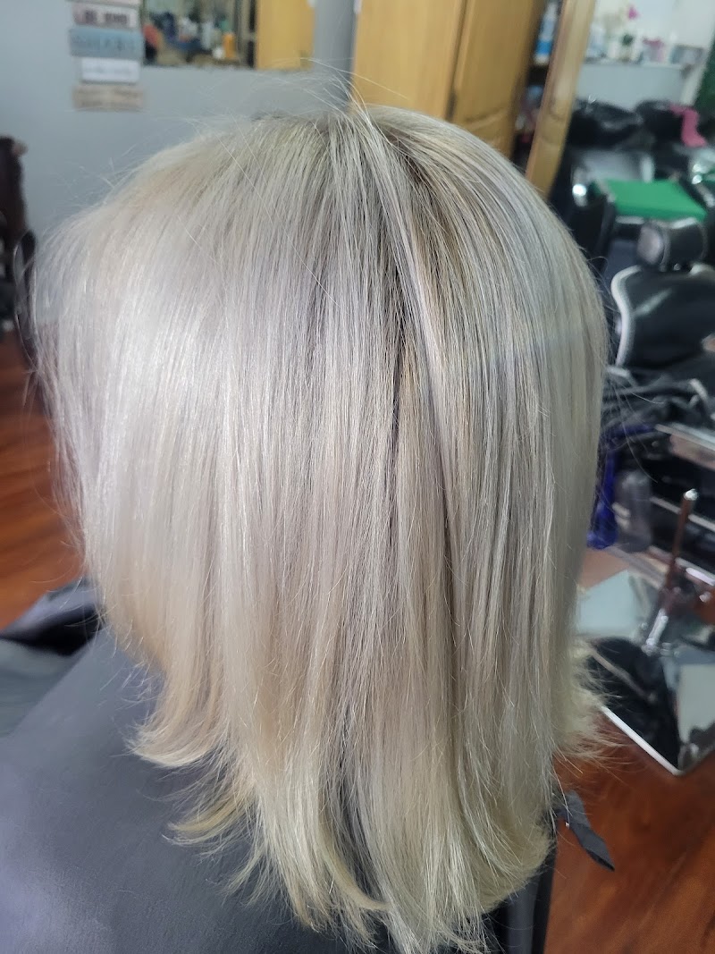 1 Hollywood Hair Salon