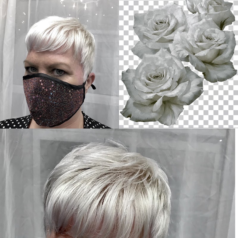 Echolistic Hair Studio