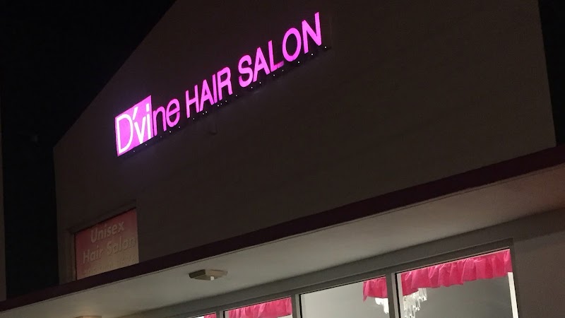 D'vine Hair Salón
