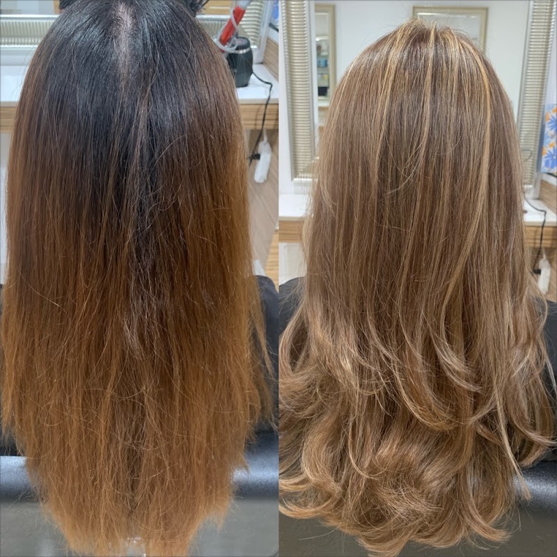 Hair Salon Santa Monica, Beauty by Shideh