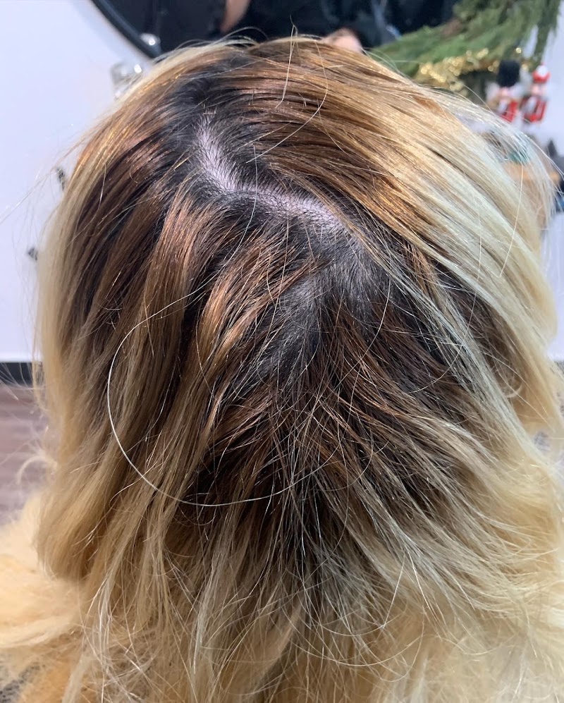 Salvi Hair Salon Inc
