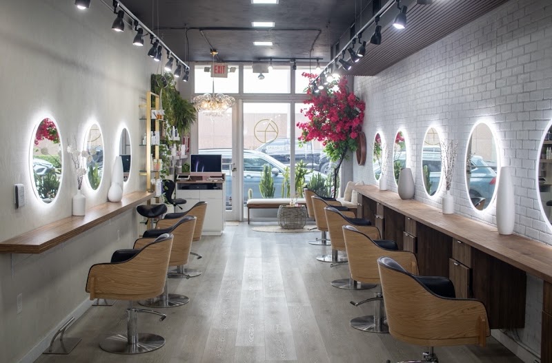 Adrian Torres Salon