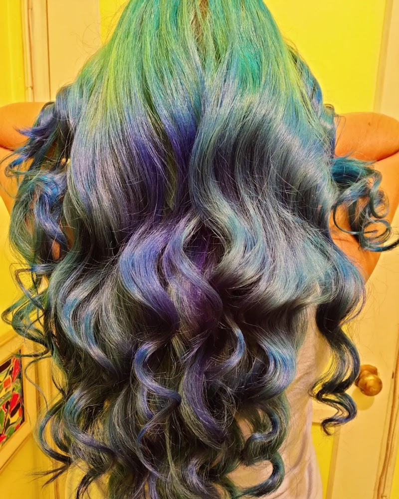 The hair expert by Andrea Cohen