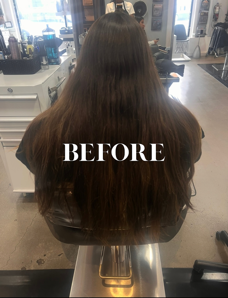 Hair Color Collective