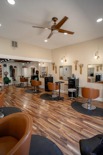 Salon Clique