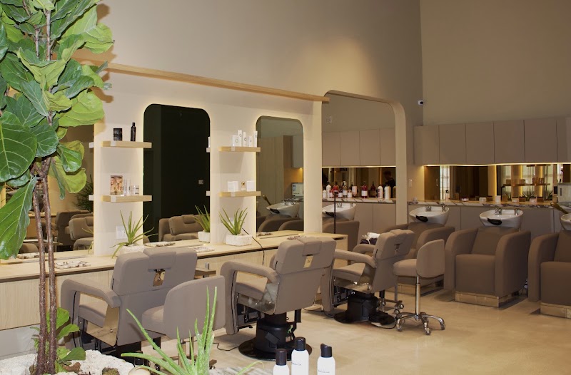Dafne Beauty House